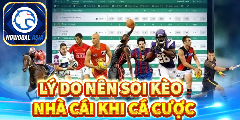 Lý do anh em nên soi kèo nhà cái nowgoal trước khi cá cược